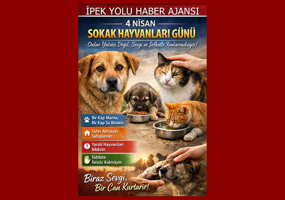 SOKAK HAYAVANLARINA BİR TAS SU KOYALIM 